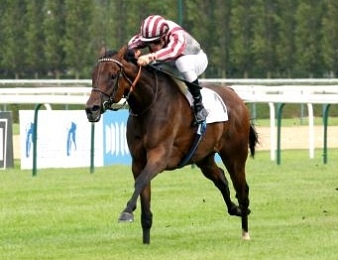 Cirrus des Aigles tente de nouveau sa chance dans la Hong Kong Cup