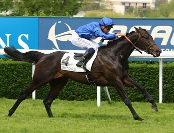 Cloth Of Stars sera au départ du Prix Ganay ce dimanche 29 avril à ParisLongchamp