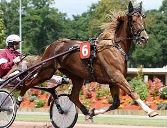 Commander Crowe est sorti victorieux du choc au sommet