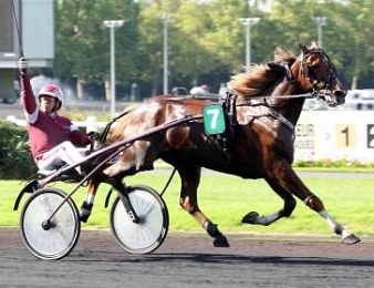 Commander Crowe vise un nouveau succès