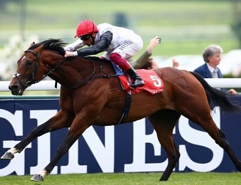 Cracksman ira sur les Champion Stakes