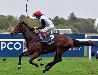 Cracksman sera au départ des Champion Stakes ce samedi 20 octobre à Ascot