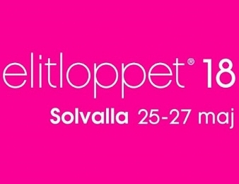 Cyber Lane devrait participer à l'Elitloppet disputé à Solvalla le 27 mai prochain