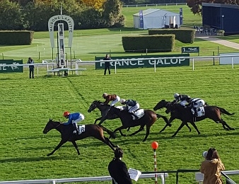 Dame du Roi a remporté le Prix Miesque