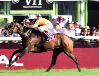 Danedream lors de sa victoire dans le Prix de l'Arc de Triomphe