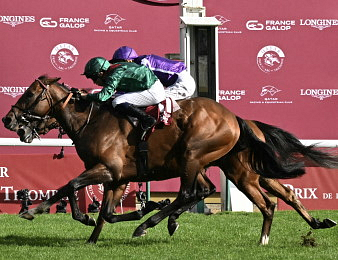 Daryz lors de sa victoire dans le Qatar Prix de l'Arc de Triomphe 2025