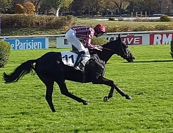 De Bon Coeur remporte la 13ème course de sa carrière