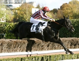 De Bon Coeur sera au départ du Prix Renaud du Vivier ce dimanche 12 novembre à Auteuil