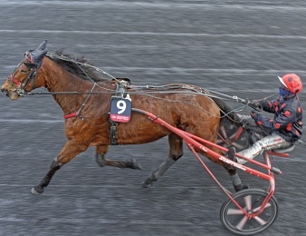 Délia du Pommereux a remporté la Qualif 5.