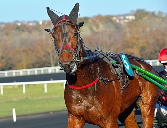 Délia du Pommereux conserve son titre dans le Grand Prix du Bourbonnais