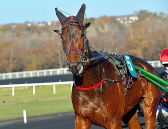 Délia du Pommereux remporte le Prix de Bourgogne