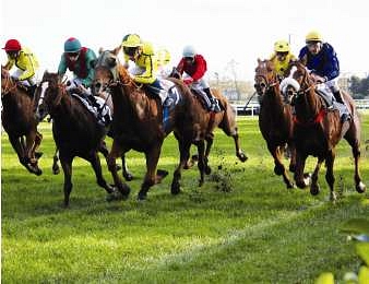 Derby et Grand Prix étaient au programme samedi au Bouscat