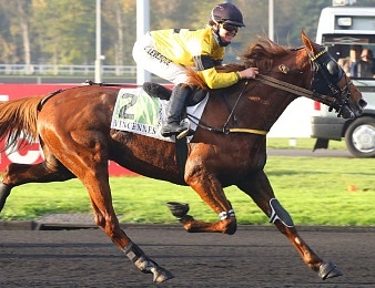 Dexter Fromentro sera au départ du Prix de Normandie ce samedi 15 septembre à Vincennes