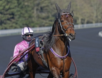 Diable de Vauvert s'impose de nouveau