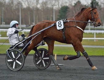 Dijon sera au départ du Prix de Washington ce samedi 27 juillet à Enghien