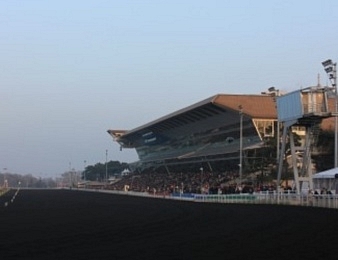 Dimanche 27 janvier 2013, jour de Grand Prix d'Amérique à Paris-Vincennes