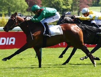 Direction le haras pour Zarkamiya