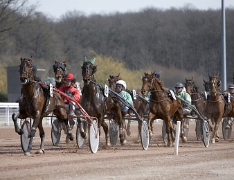 Dix-huit trotteurs participent au Quinté+ du jour!