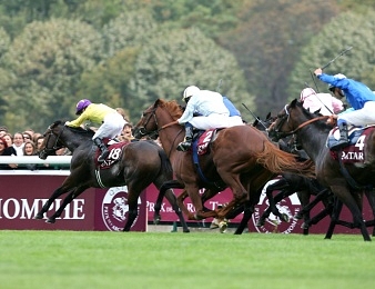 Dix-neuf devraient être en lice à l'occasion du Qatar Prix de l'Arc de Triomphe 2013