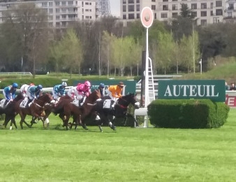 Dix-sept concurrents prendront part au Tiercé, Quarté, Quinté plus du jour