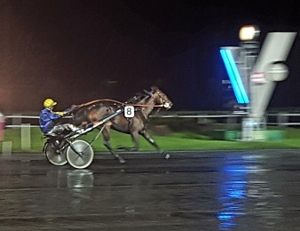 Django Riff a remporté le Championnat européen des 3 Ans à Vincennes