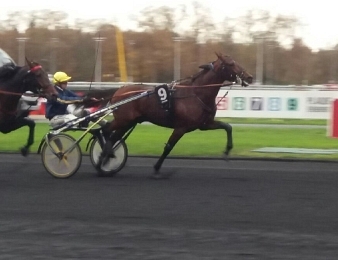 Django Riff s'impose dans le Prix Jacques de Vaulogé