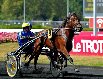 Django Riff sera au départ du Prix de Milan ce samedi 28 juillet à Enghien