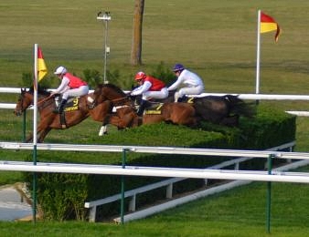 Douze concurrents ont rendez-vous dans le Prix Ferdinand Dufaure