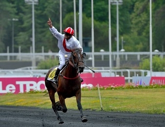 Draft Life s'est blessée dans le Prix Jockey