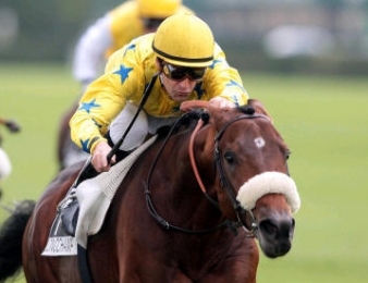 Dunaden a gravi les échelons pour arriver au sommet