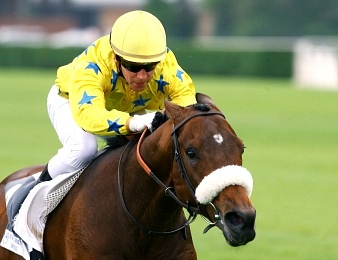 Dunaden tire sa révérence à l'âge de 8 ans