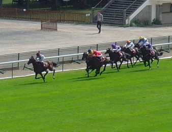 Ectot lors de sa victoire dans le Prix Niel