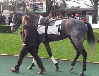 Edward d'Argent est le leader des 4 ans sur le steeple-chase