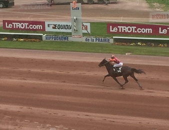 Eiffel Tower remporte le Saint-Léger des Trotteurs à Caen ce mercredi 17 mai
