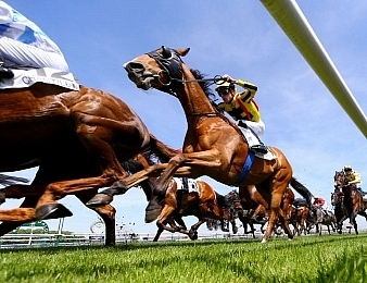 Elles seront 15 au départ du Prix de Diane disputée ce dimanche 17 juin à Chantilly