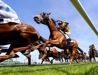 Elles seront 16 au départ du Prix de Diane disputée ce dimanche 18 juin à Chantilly