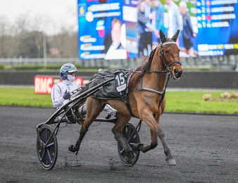 Emeraude de Bais domine Go On Boy