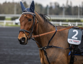 Emeraude de Bais triomphe dans le Grand Critérium de Vitesse de la Côte d'Azur