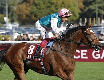 Enable envisagée dans le Champions Day