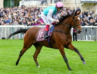 Enable est favorite à sa propre succession