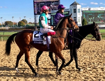 Enable réalise le doublé Prix de l'Arc de Triomphe - Breeders' Cup Turf