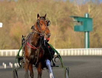 Enino du Pommereux prend sa retraite sportive