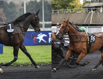 Epic Kronos et Liza Josselyn ont brillé ce dimanche à Vincennes