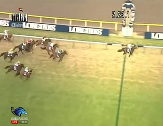 Epiphaneia et Christophe Soumillon se sont adjugés la Japan Cup 2014