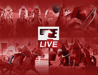 Equidia Live au service des parieurs