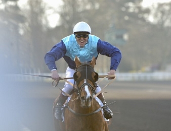 Eric Raffin remporte sa 1236ème course au trot monté en carrière.