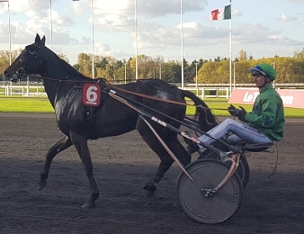 Eridan remporte le Prix Abel Bassigny ce lundi 6 novembre à Vincennes