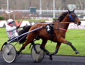 Erminig d'Oliverie prendra le départ du Prix de Selection ce samedi 3 mars à Vincennes