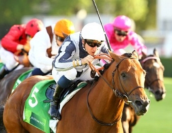 Erupt est le dernier cheval à avoir gagné le Grand Prix de Paris à Longchamp