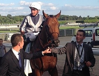 Erupt est un cheval de Prix de l'Arc de Triomphe